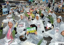 농산물은 죄가 없다