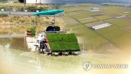 옥천서 생산된 친환경쌀 40t, 제주 음식점에 납품