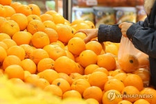 할인 오렌지 고르는 시민들