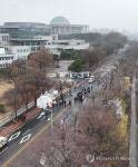 벚꽃은 없지만, 축제는 축제