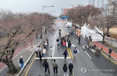 벚꽃은 없지만, 축제는 축제