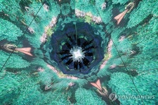 화려한 미디어아트의 세계로