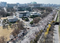 여의서로 벚꽃길 교통통제 8일까지 연장