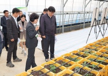 조재호 농촌진흥청장, 신품종 은선 생산시설 방문