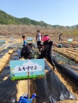 우리집 작은농장 만들기…김해시 리틀 포레스트 팜 확대한다