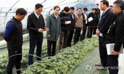 한훈 차관, 충북 음성 수박 재배농장 방문