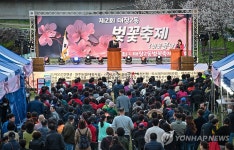 원주 태장2동 벚꽃축제 개막