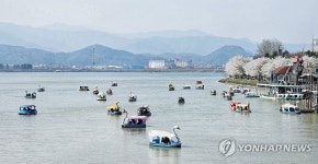 물 반 오리 반