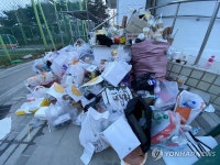 벚꽃놀이 뒤 버려진 양심