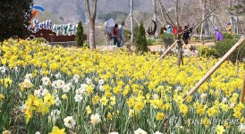 꽃으로 가득찬 붕어섬 생태공원