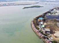 춘천 의암호변 따라 이어진 벚꽃길