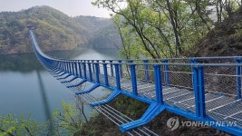 진천 초평호 미르309 출렁다리 개통