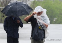 급한대로 비닐로