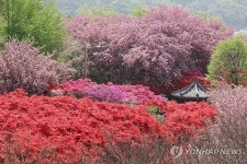 꽃들로 가득한 전주 완산공원 꽃동산