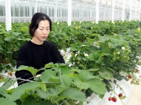 [2024 와이팜 엑스포] ② 고흥 스마트팜서 귀농 준비 심세련씨