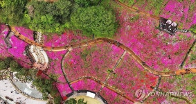 울긋불긋 꽃 대궐