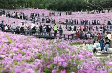 주말 꽃구경 인파