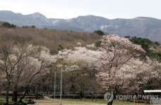 한라산 관음사 야영장 개선 공사…10월까지 운영 중단