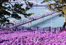 신안서 25일 전국 여성건축사대회…드레스코드는 보라색