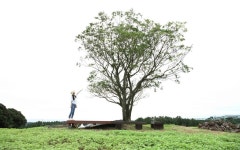 저지리·한남리…제주마을에 스며들어볼까