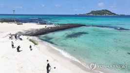 언제나 옳은 제주 바다