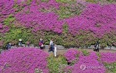 봄에서 여름으로