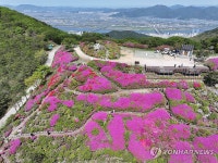 부산의 봄