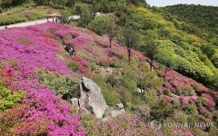 봄과 여름의 경계