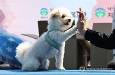 주인님과 하이파이브!
