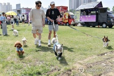원주 반려동물 문화행사 다 함께 펫밀리