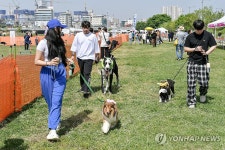 원주 반려동물 문화행사 다 함께 펫밀리
