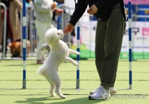 칭찬은 강아지도 두발로 걷게 한다