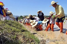 홍천서 농경문화 체험행사