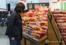 급등한 방울토마토 가격