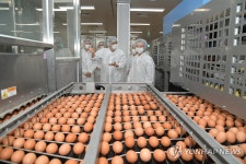 오유경 식약처장, 달걀 안전관리 현장 방문