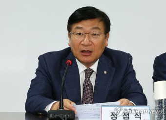 발언하는 정점식 정책위의장