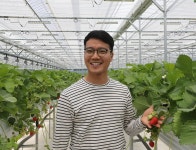 딸기 소개하는 김영웅 영웅딸기 대표