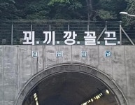 꾀끼깡꼴끈 부산 번영로 터널 위에 등장한 황당 문구(종합)