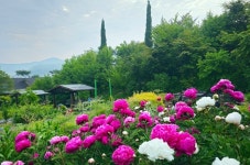세종 민간정원 2곳서 내달 1일 제1회 민간정원축제