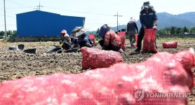 농번기 귀한 분들…창녕 외국인 계절근로자 작업농장 가보니