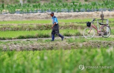 이른 아침 농부의 일상