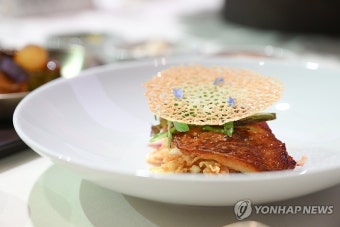[한-아프리카 정상회의] 아프리카 정상 환영 만찬 메뉴