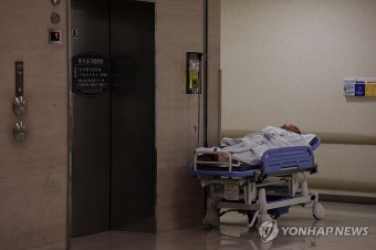 정부 