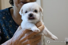 임시주택서 태어난 새 생명