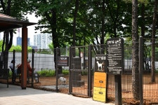 노원 마들체육공원 탈바꿈…산책로에 반려가족쉼터까지