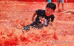 여기가 토마토 천국