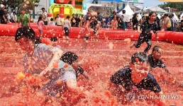 여기가 토마토 천국