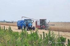 새만금 간척지서 조사료 생산