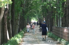 더위 피해 숲길로