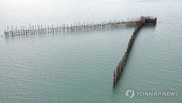 남해 지족해협 죽방렴 어업